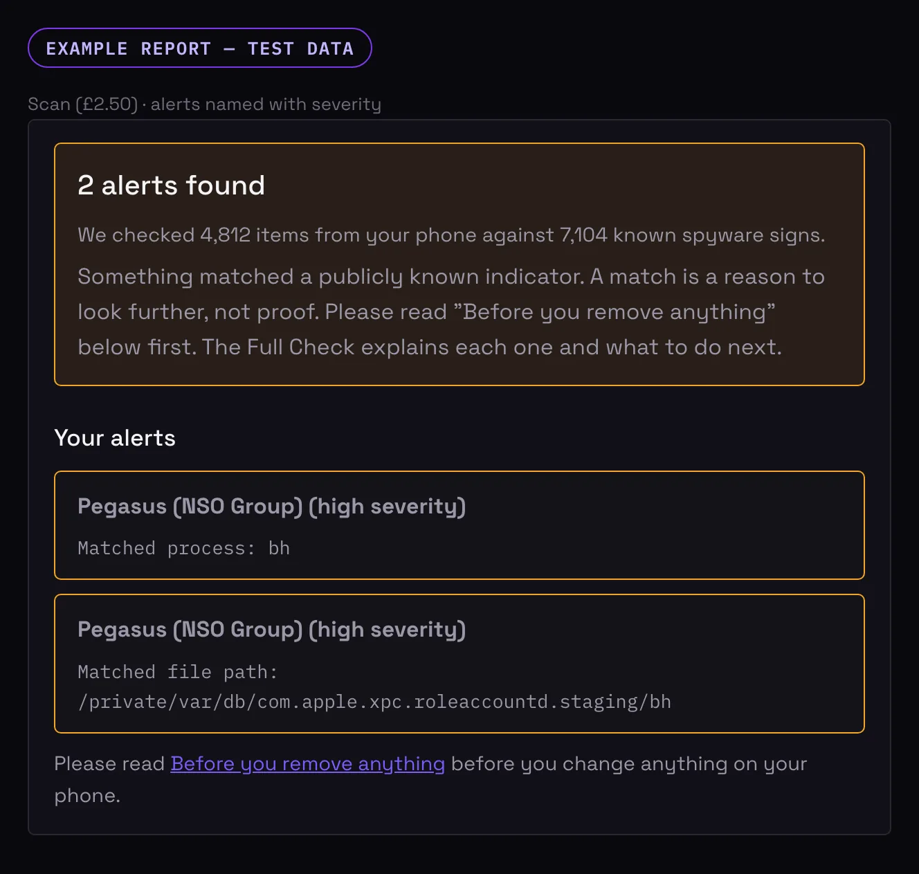 Example Scan report: 2 alerts found, each named as Pegasus (NSO Group), high severity, with what was matched.